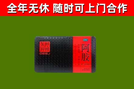 郏市回收阿胶
